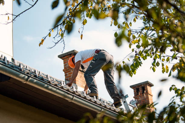 Best Flat Roof Repair Services  in Alderton, WA